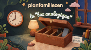 La box analogique PFZ